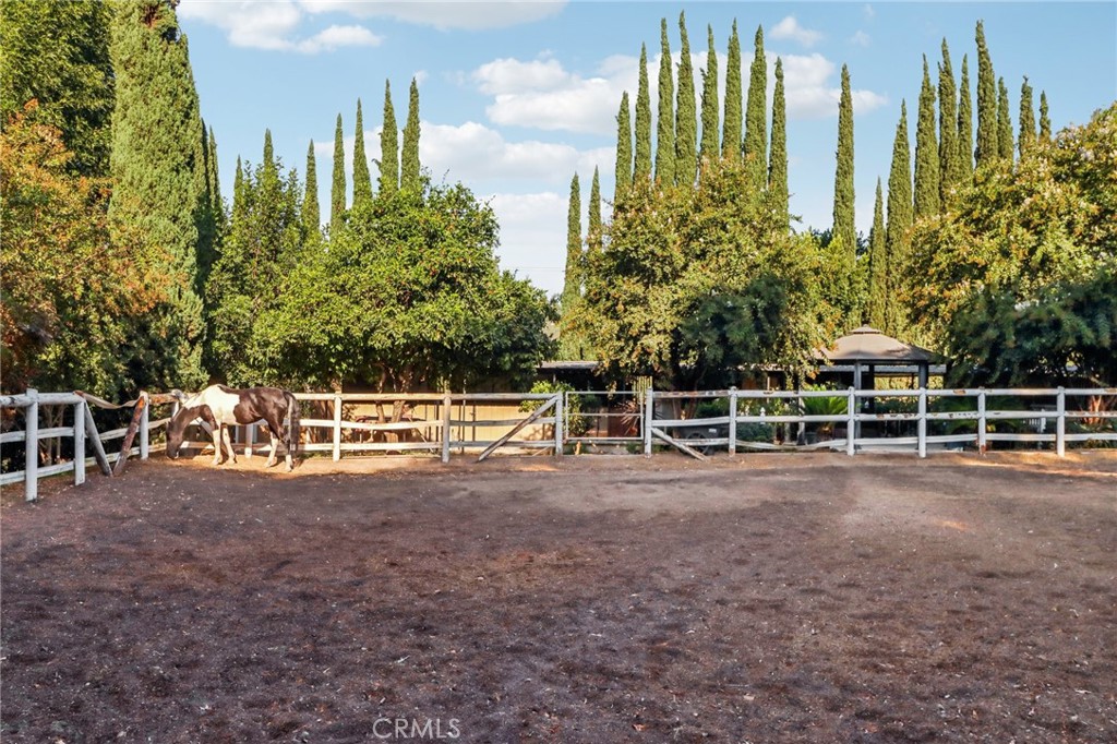 MLS #PF24197336 image #39