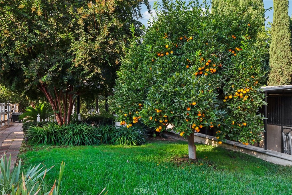 MLS #PF24197336 image #46