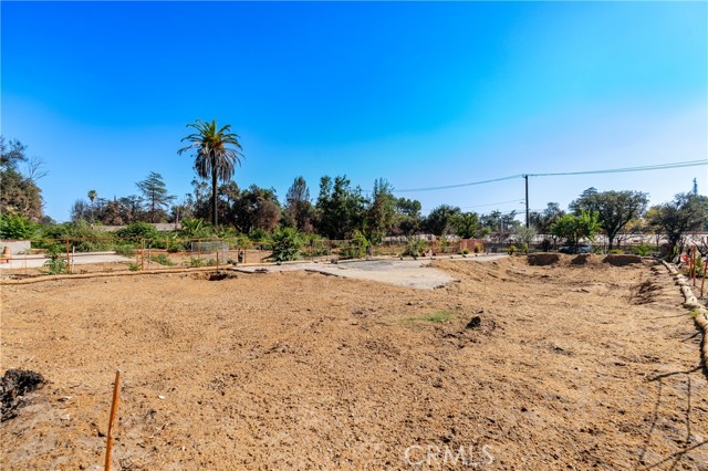 MLS #PF25111011 image #11