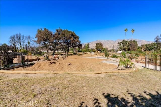 MLS #PF25111011 image #6