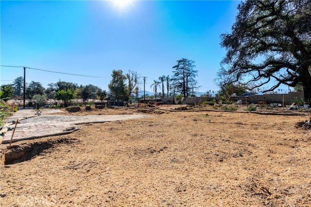 MLS #PF25111011 image #9