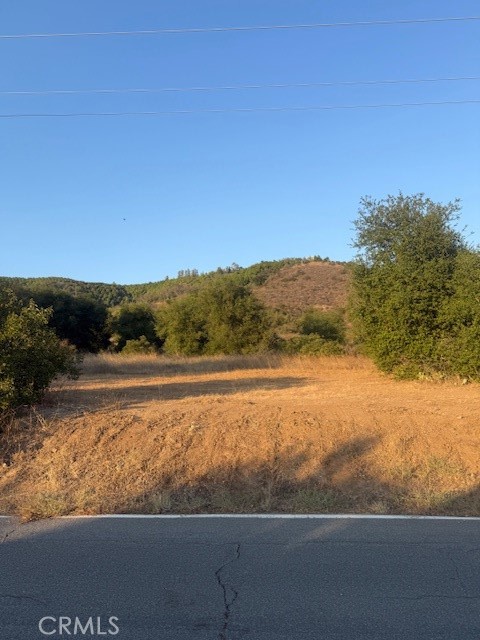 MLS #PF25148354 image #1