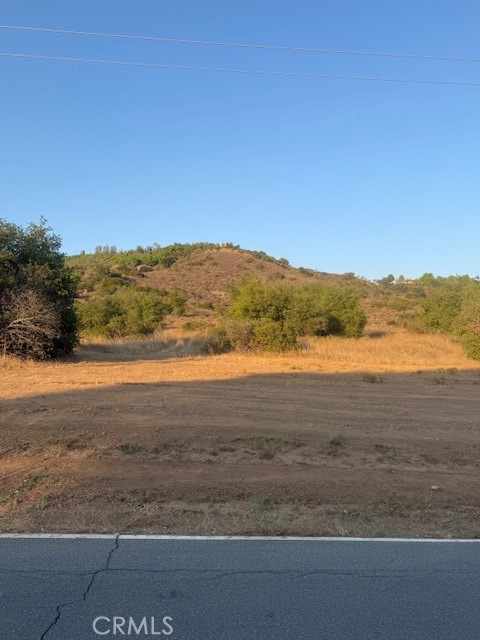 MLS #PF25148354 image #10