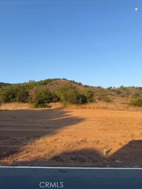 MLS #PF25148354 image #12