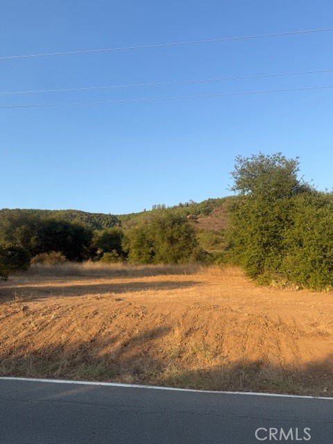 MLS #PF25148354 image #4