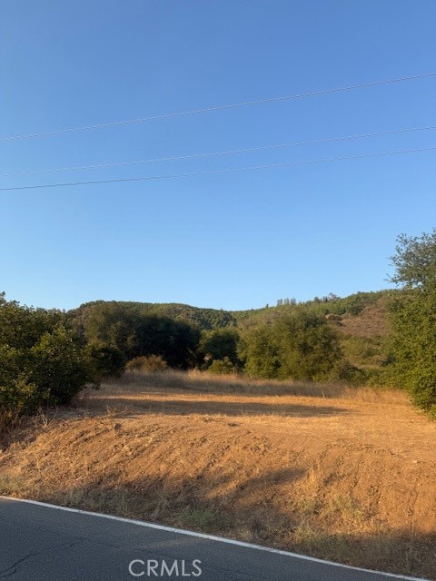 MLS #PF25148354 image #5