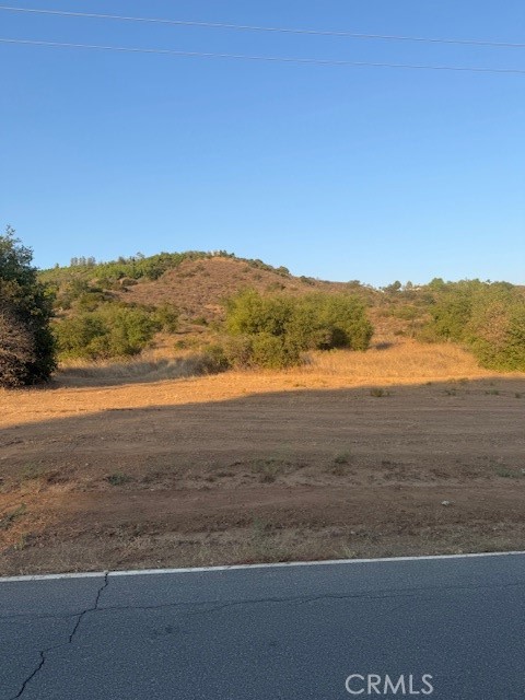 MLS #PF25148354 image #6