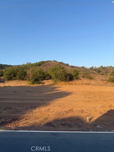 MLS #PF25148354 image #7