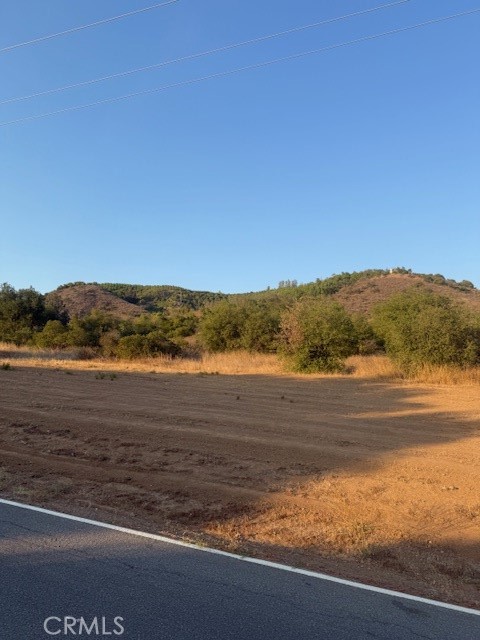 MLS #PF25148354 image #8