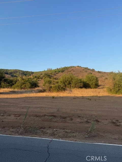 MLS #PF25148354 image #9