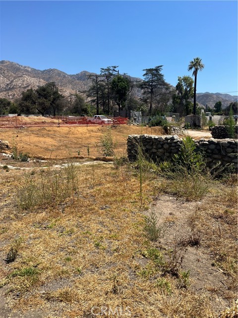 MLS #PF25216104 image #6