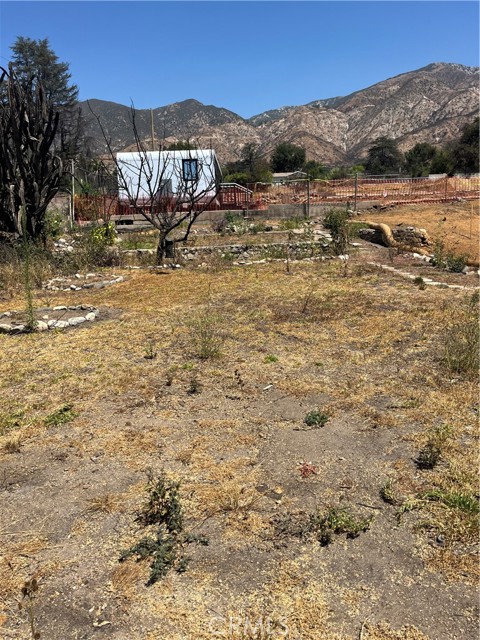 MLS #PF25216104 image #7