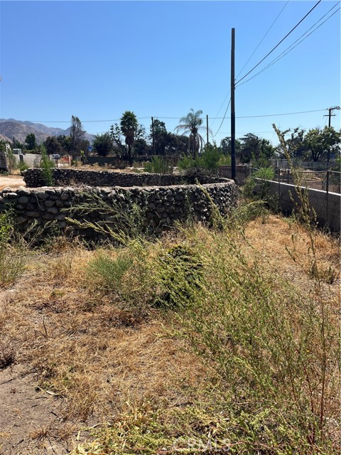 MLS #PF25216104 image #8