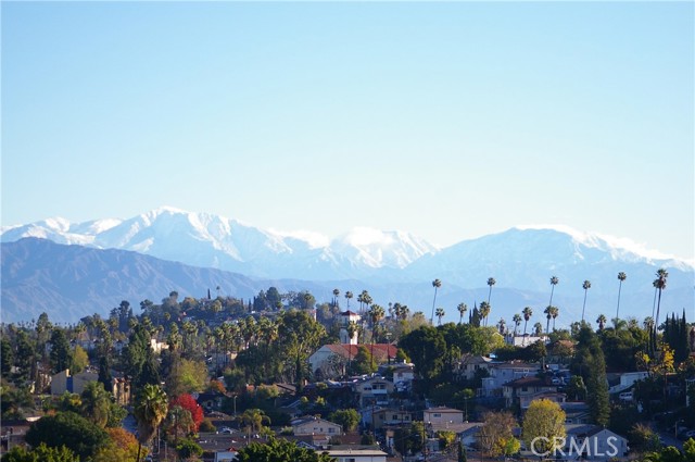 MLS #PF25241223 image #35