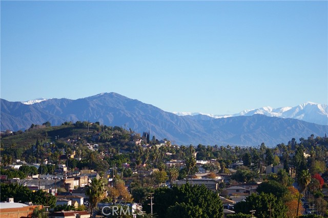 MLS #PF25241223 image #36