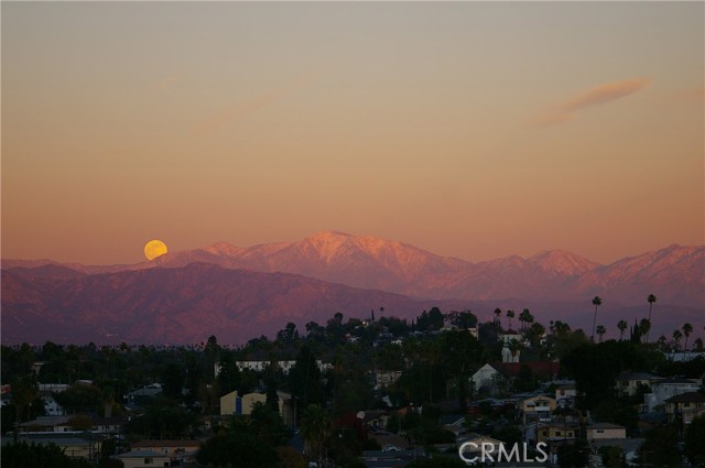 MLS #PF25241223 image #40