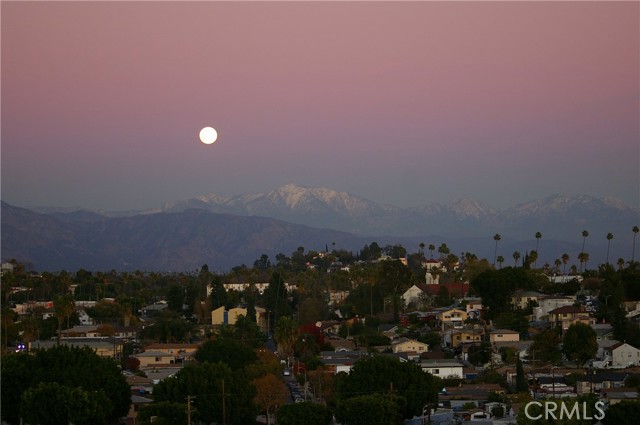 MLS #PF25241223 image #41