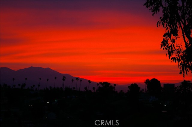 MLS #PF25241223 image #43