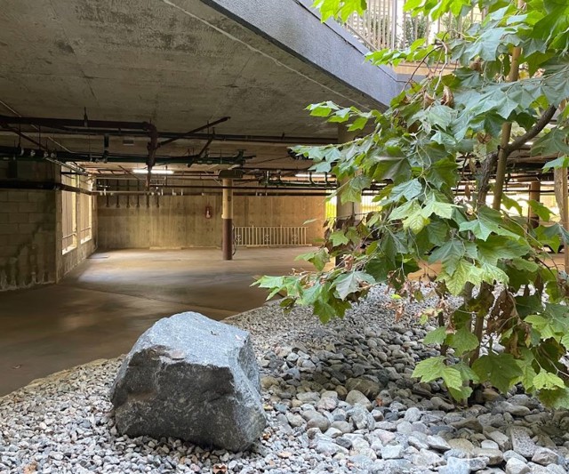 MLS #PF25249201 image #20