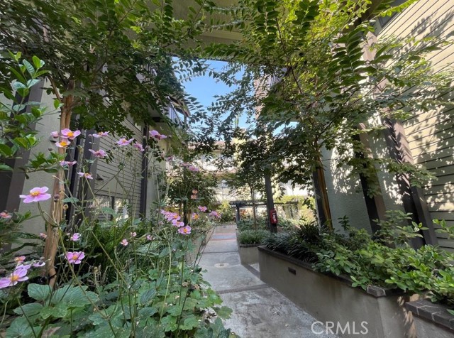 MLS #PF25249201 image #21