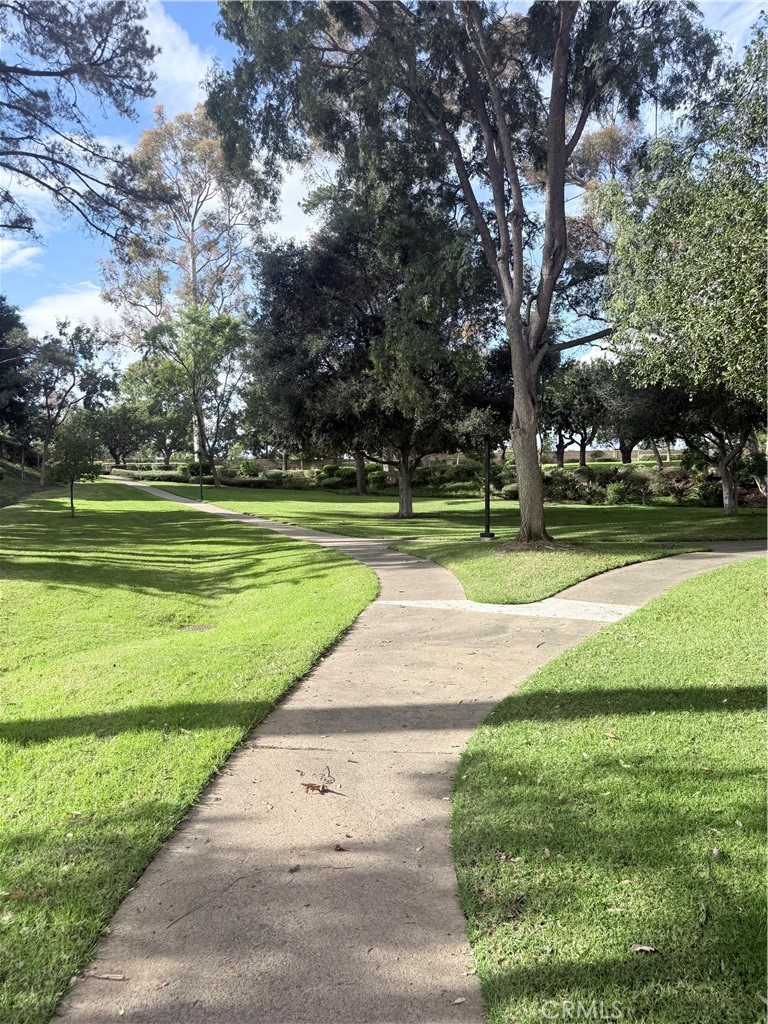 MLS #PF25249281 image #37