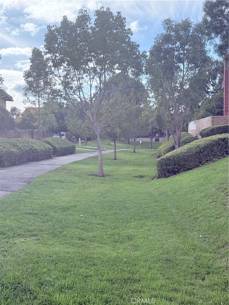 MLS #PF25249281 image #38