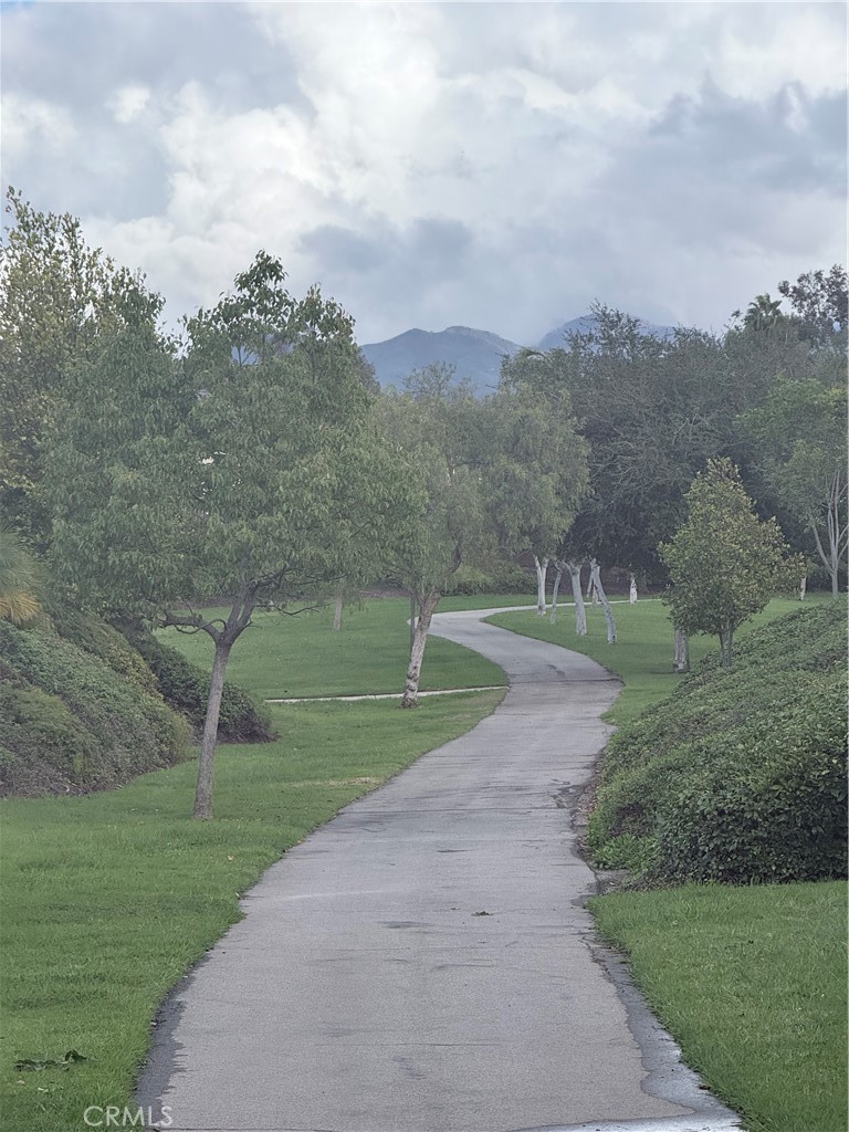 MLS #PF25249281 image #39