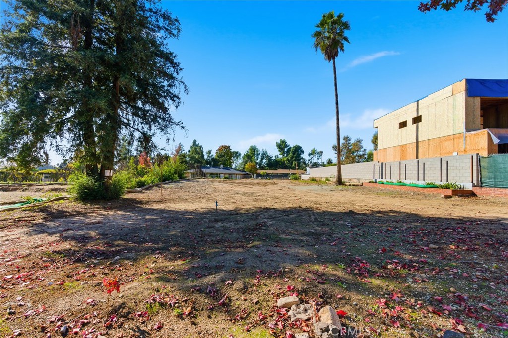 MLS #PF25263142 image #4