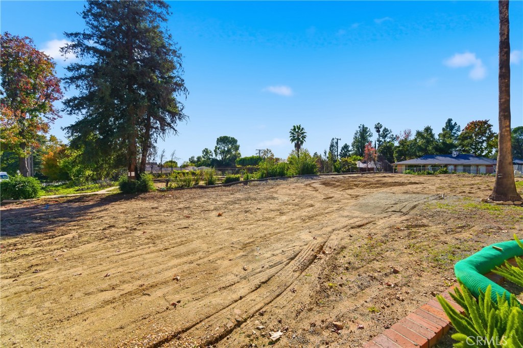 MLS #PF25263142 image #6