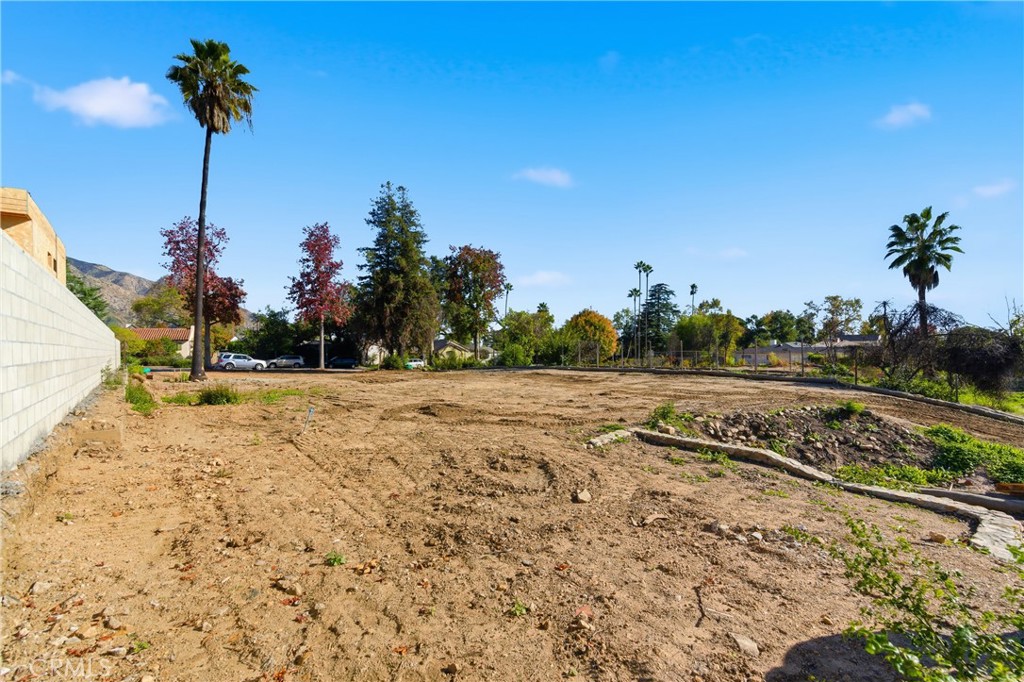 MLS #PF25263142 image #8