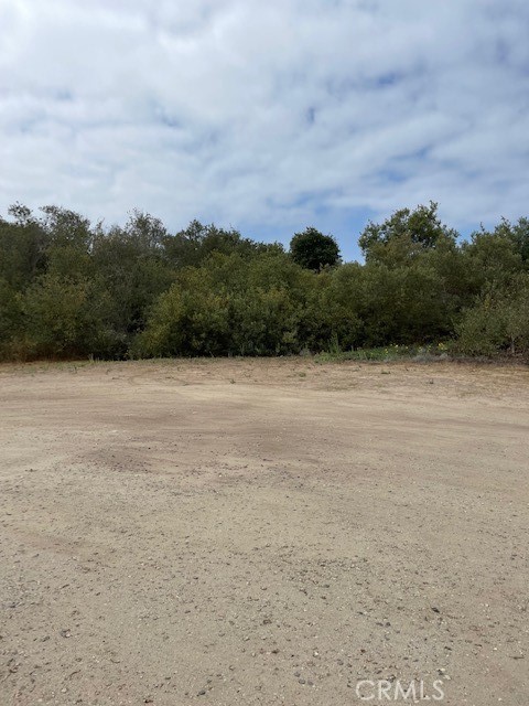 MLS #PI21196628 image #4