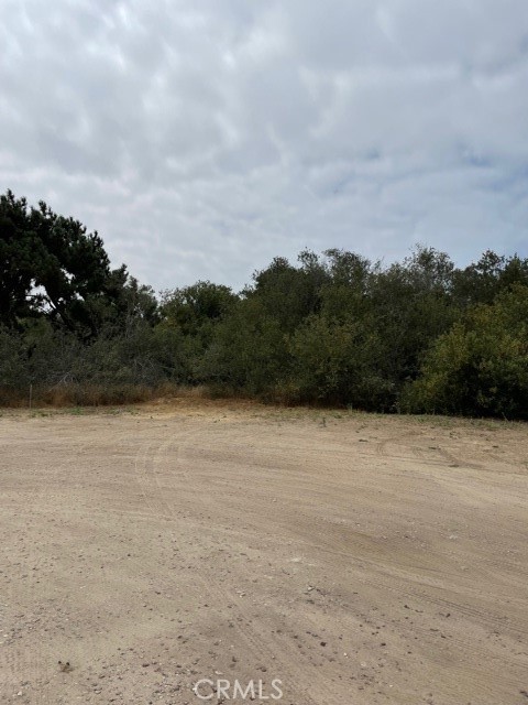 MLS #PI21196628 image #5