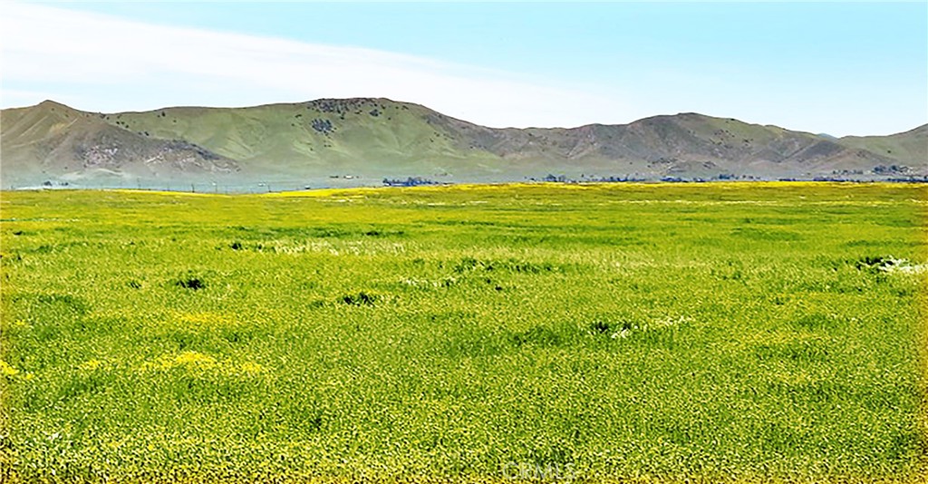 MLS #PI24136791 image #0