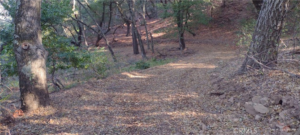 MLS #PI24153900 image #1