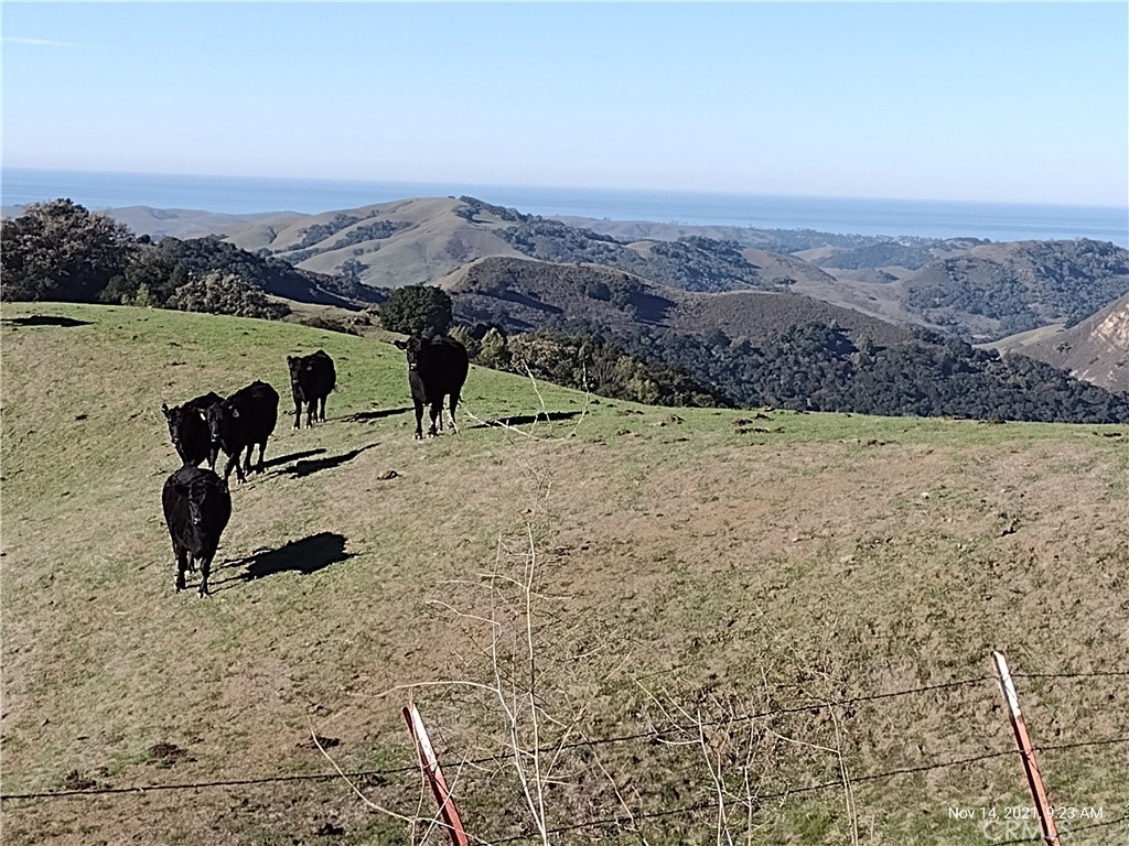 MLS #PI24153900 image #10