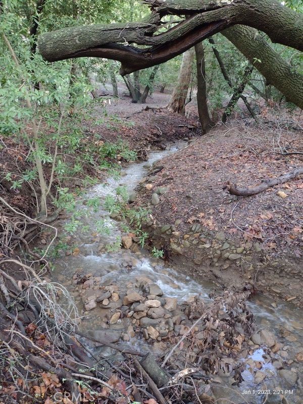 MLS #PI24153900 image #13