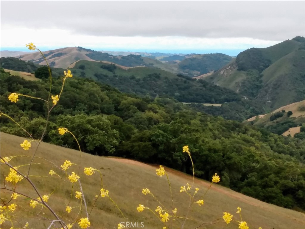 MLS #PI24153900 image #15