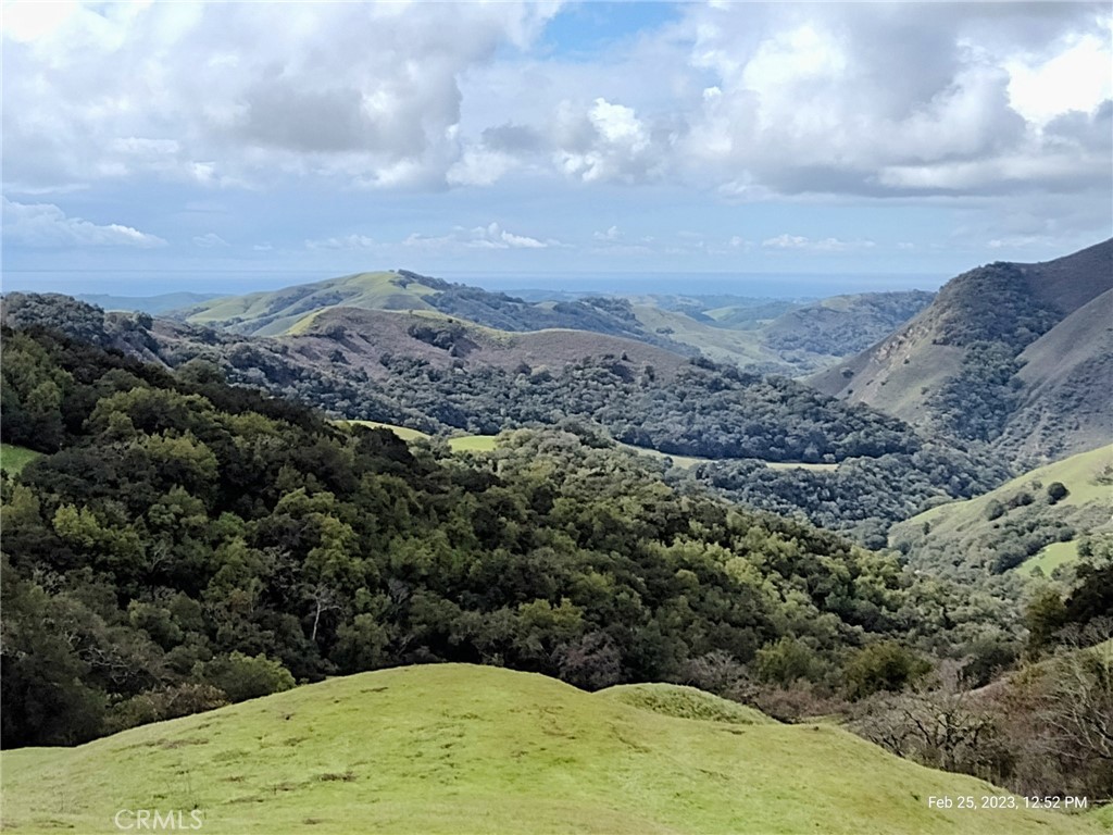 MLS #PI24153900 image #18