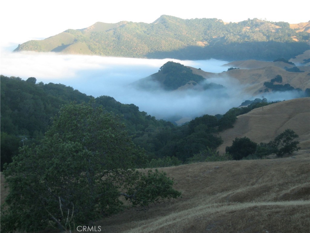 MLS #PI24153900 image #19