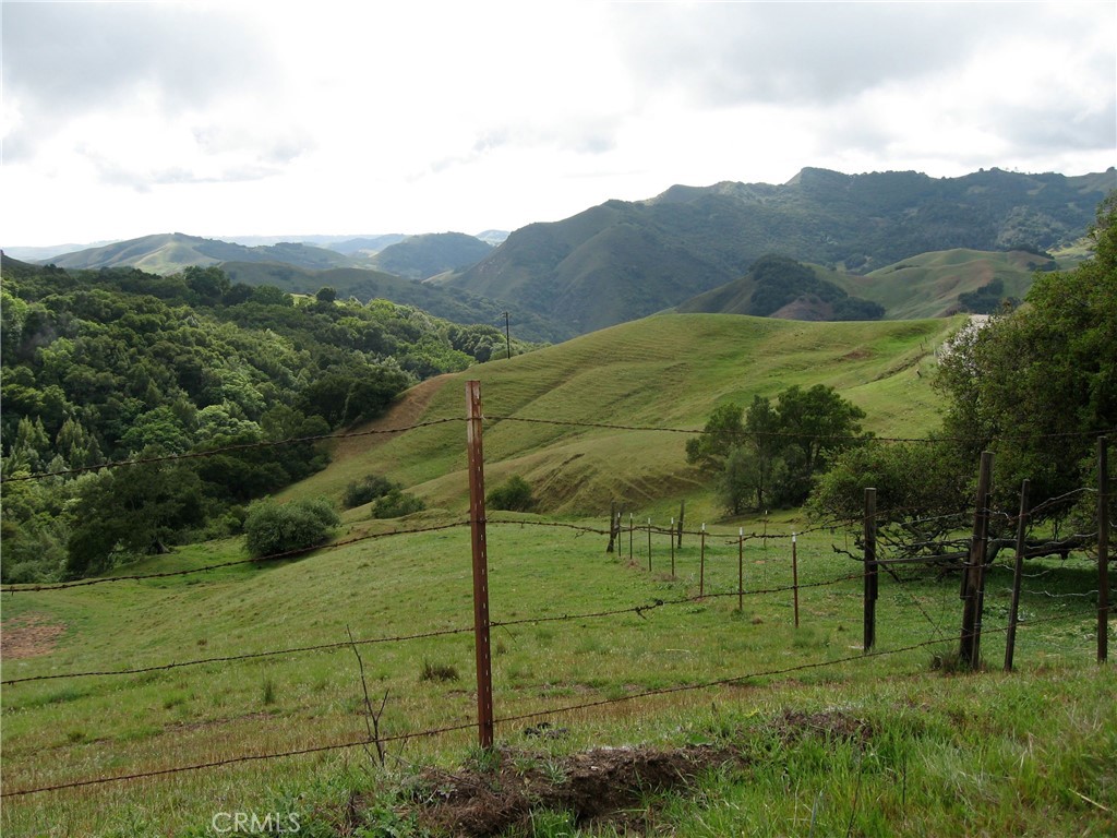 MLS #PI24153900 image #2