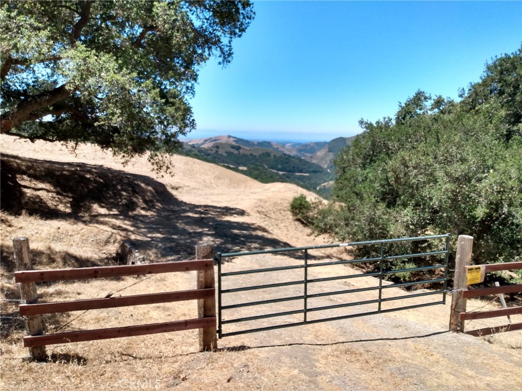 MLS #PI24153900 image #5