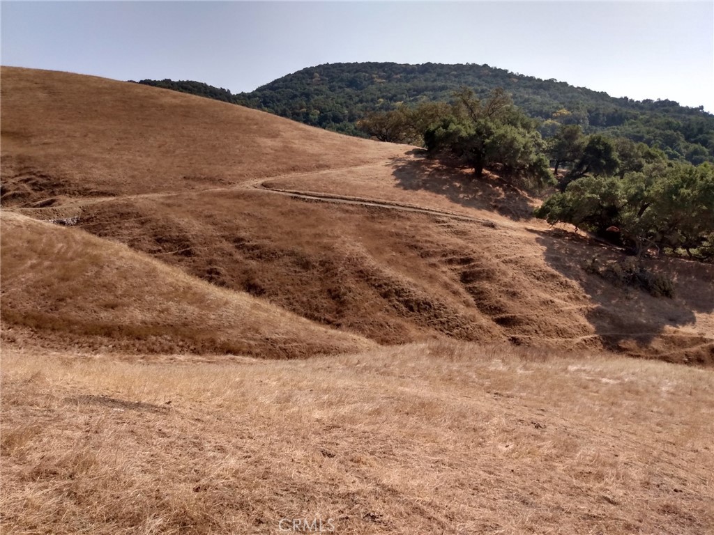 MLS #PI24153900 image #6