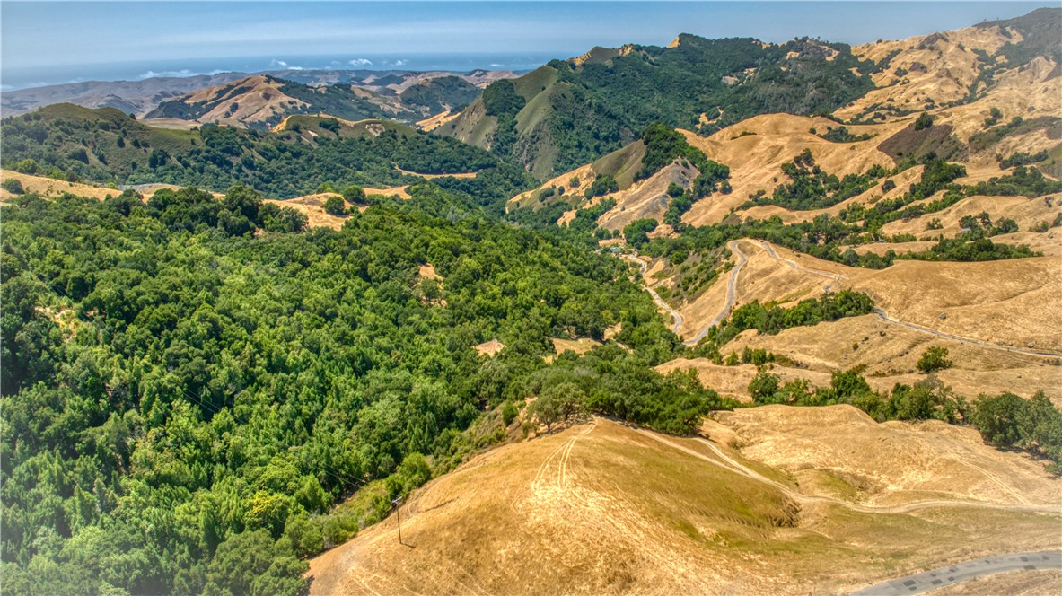 MLS #PI24153900 image #7