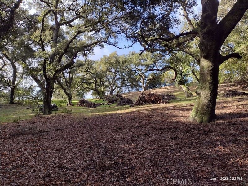 MLS #PI24153900 image #9