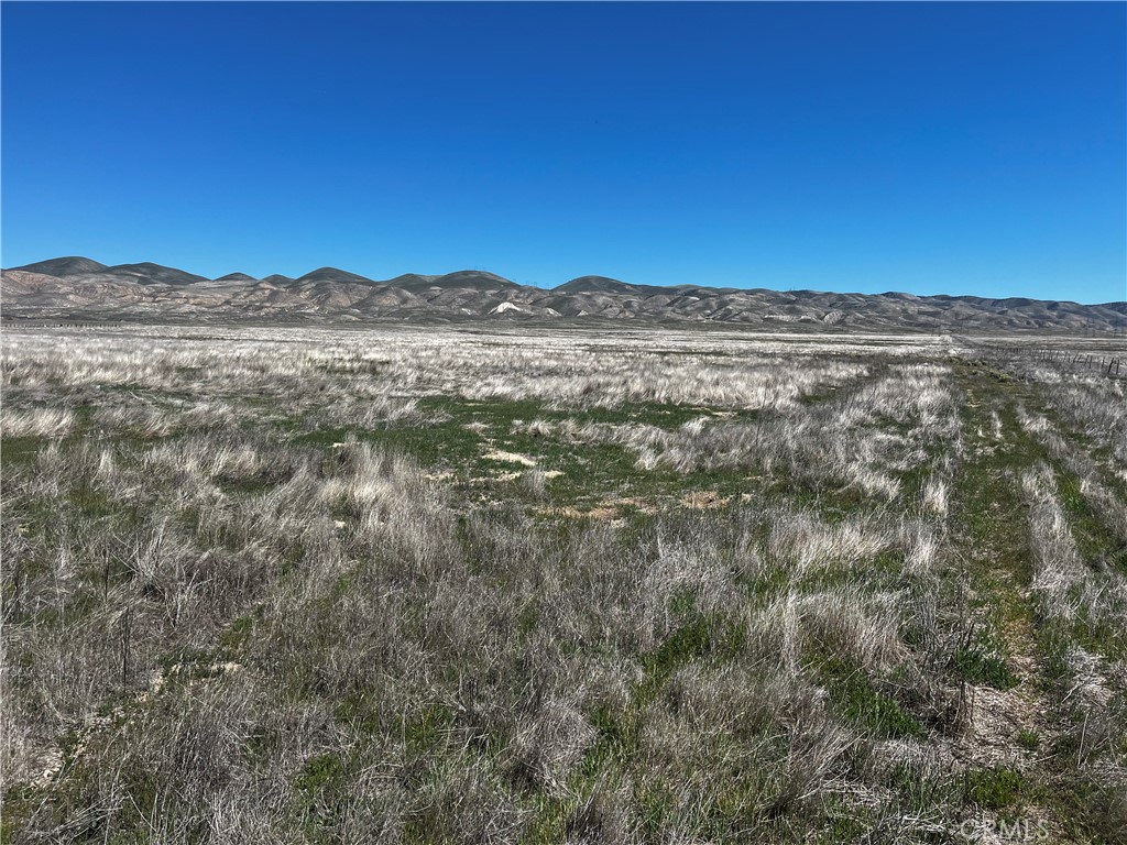 MLS #PI24227524 image #0