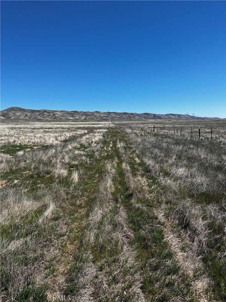 MLS #PI24227524 image #1