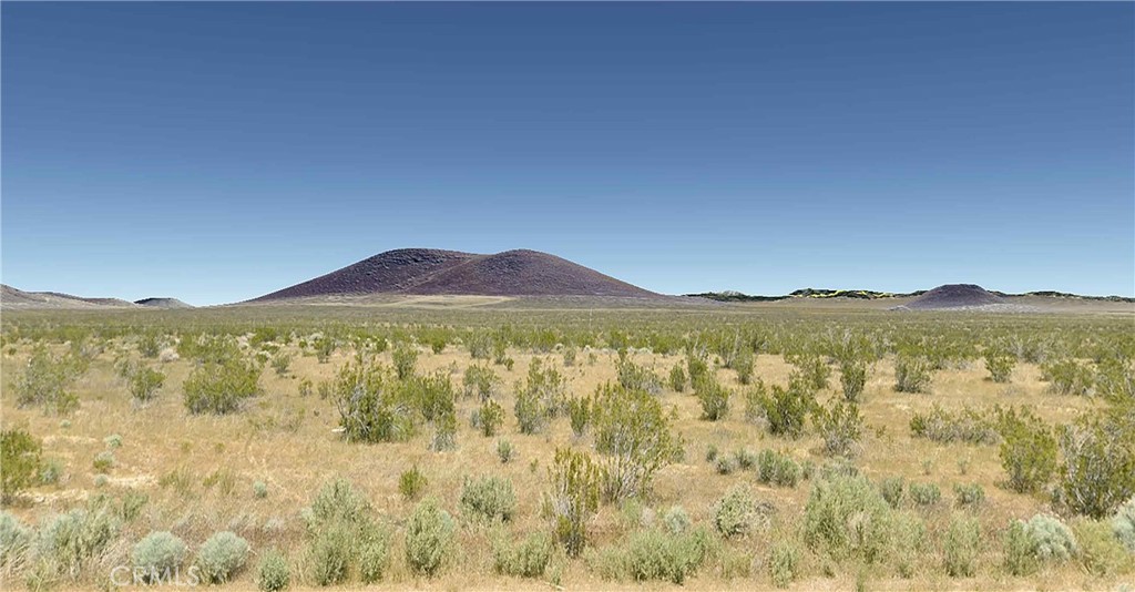 MLS #PI25006676 image #0