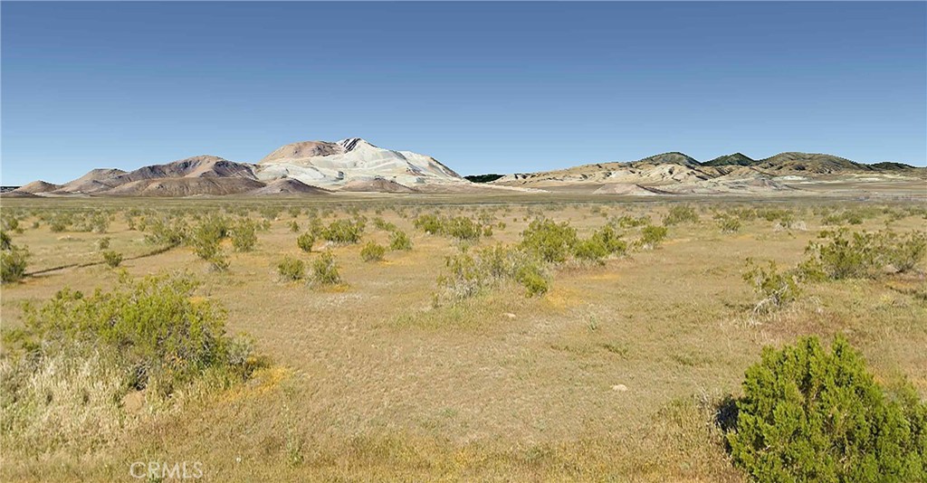 MLS #PI25006676 image #1