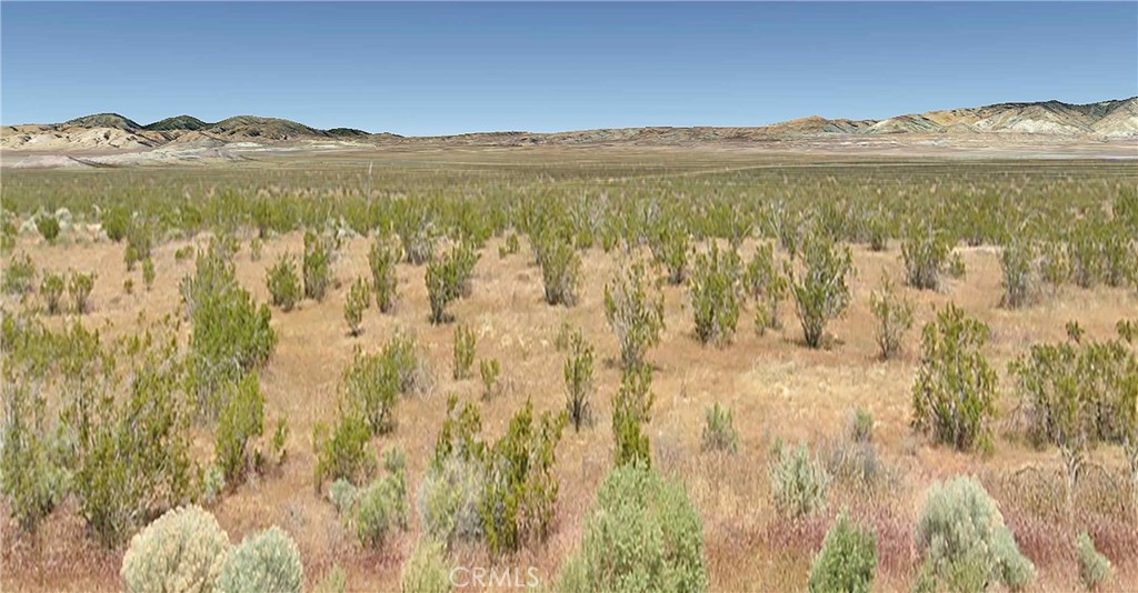 MLS #PI25006676 image #2