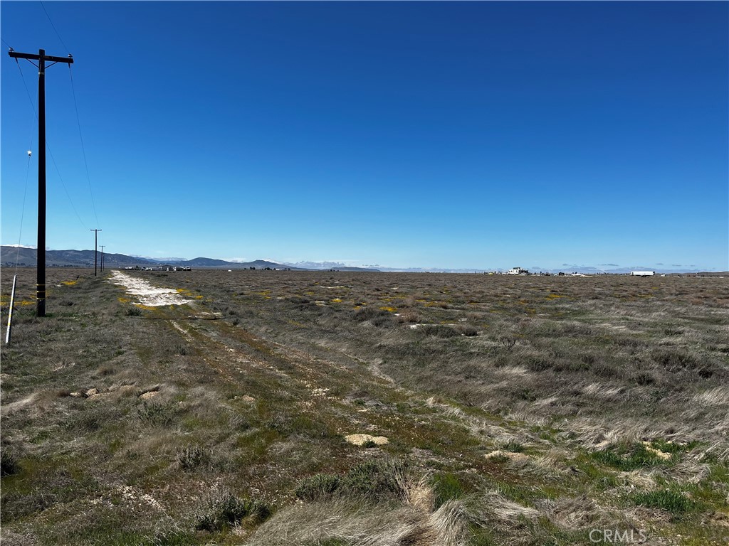 MLS #PI25016881 image #1